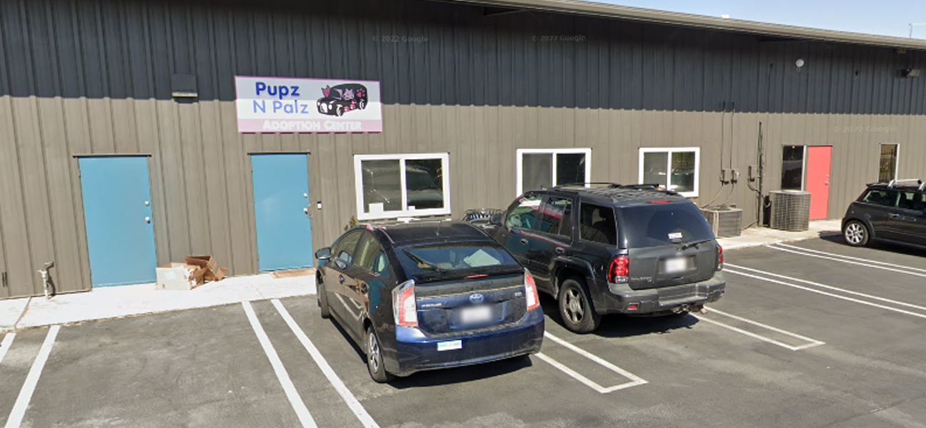 pupz-n-palz-location